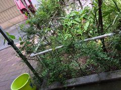 -公寓家常菜馆(海军博物馆店)