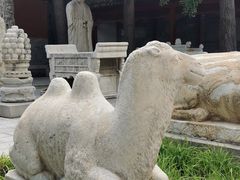 -北京石刻艺术博物馆(五塔寺)