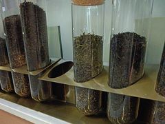 -雾与山茶(大禹城店)