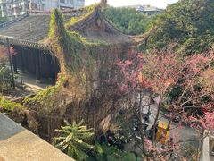 -乌山风景区