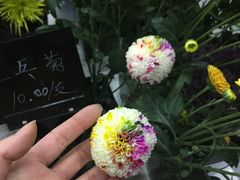 -Butchart布查德鲜花(花艺设计中心)