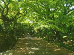 -常寂光寺