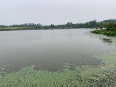 -东郊湿地公园