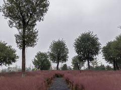 -汉长安城未央宫国家考古遗址公园