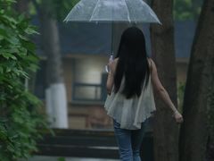 -合肥滨湖国家森林公园