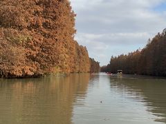 -上海海湾国家森林公园