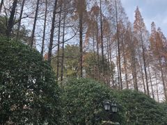 -棕榈岛海鲜自助餐厅(虹桥迎宾馆店)