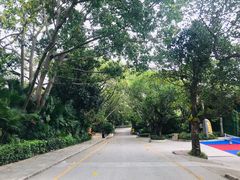 -深圳野生动物园