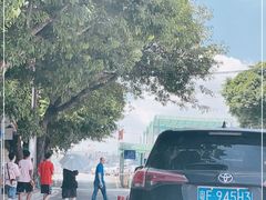 -鱼珠码头(轮渡站)