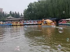 -团结湖公园
