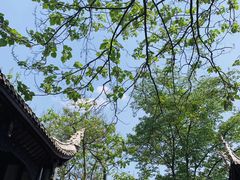 -天河潭旅游度假区