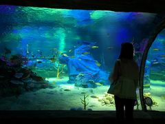 -沈阳海洋探索中心