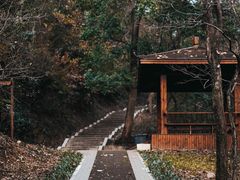 -青龙山国家森林公园