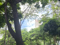 -中国电信(益田营业厅)