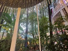 -二荆条·蜀鲜汇城市森林火锅