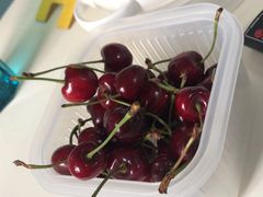 -江杨农产品批发市场