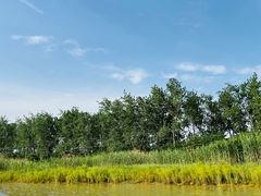 -洪湖生态旅游区