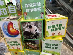 -中国宋庆龄青少年科技文化交流中心