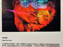 -福建博物院