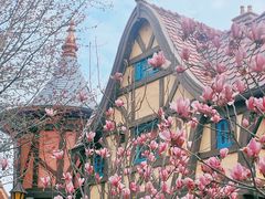 -上海迪士尼度假区