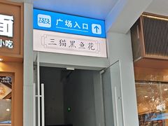 -三猫黑鱼花(南大店)