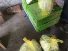 -马陆小张葡萄园农家乐