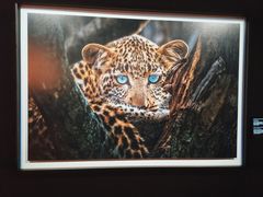 -罗红摄影艺术馆