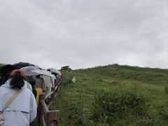 -新疆那拉提国家旅游度假区