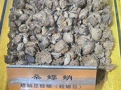 -上海昆虫博物馆