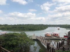 -东寨港红树林旅游区