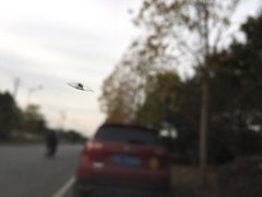 -名车坊威固授权汽车贴膜隐形车衣(世纪大道店)