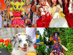 -大连海昌发现王国主题公园