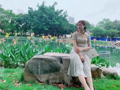 -广西大学(大学东路校区)