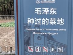 -延安杨家岭革命旧址