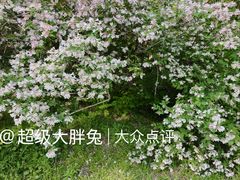 -济南植物园