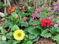 -人民公园(罗湖区)