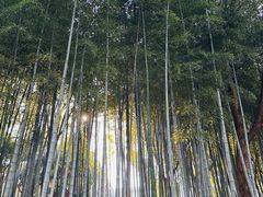 -上海市保健医疗中心