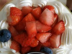 -幸福鸟动物奶油生日蛋糕(军校店)