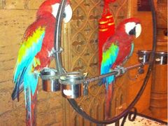 -月亮河温泉度假酒店