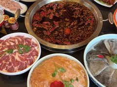-一斗火锅·招财羊毛肚(北温泉九号店)