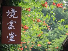-老门东历史文化街区