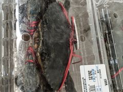 -山姆会员商店(杨桥西路店)