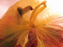 -上海龙吴水胜海发市场