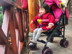 -顺德了能馆(虎门店)