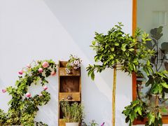 -AHAVA·Fang Baking Studio