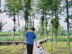 -东郊湿地公园