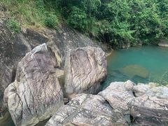 -广州白江湖森林公园