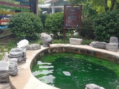 -中家鑫园温泉酒店鑫悦汤泉