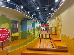 -中国宋庆龄青少年科技文化交流中心