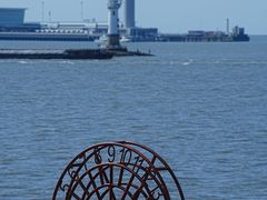 -上海滨江森林公园